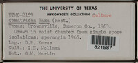 Image Associated With the Occurence